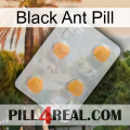 Black Ant Pill 24